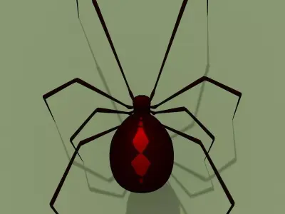 Black Widow Spider 3D model