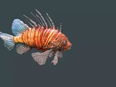 lion fish 3D model