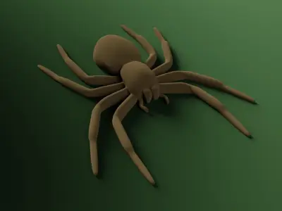 A small Spider 3D print model