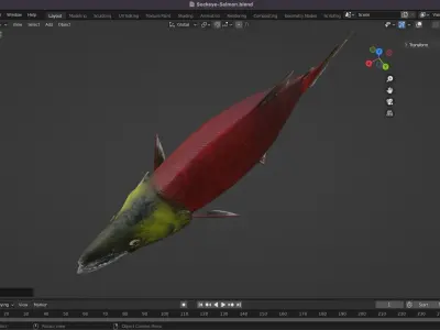 Sockeye Salmon Low-poly 3D model