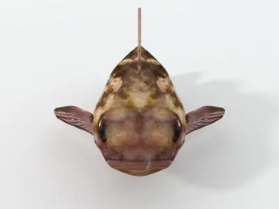 Bottom Fish Low-poly 3D model