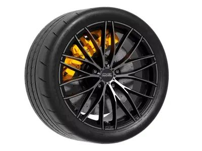OZ racing and Michelin Pilot Sport Cup 2 3D model