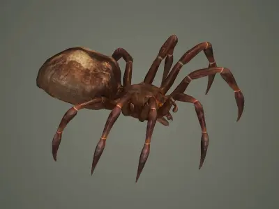 spider arachnid scary insect tarantula creepy animal  3D model