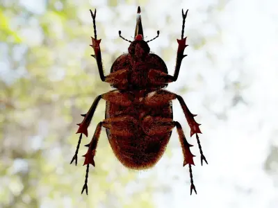 Dynastes satanus 3D model