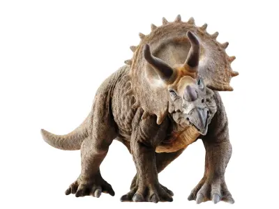 Triceratops dinosaur Low-poly 3D model