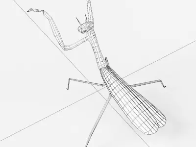 Mantis 3d model praying Low-poly 3D model