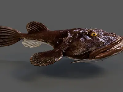 European angler Animated 3D model
