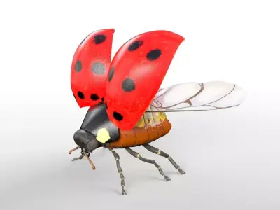 Ladybug insect Low-poly 3D model