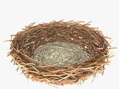BirdsNest bird nest 3D model