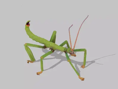 Stick insect Low-poly 3D model