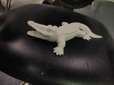 Crocodile hollow 3D print model