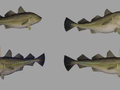 Fish Collection Animated - Game Ready Pack 1 Low-poly 3D model