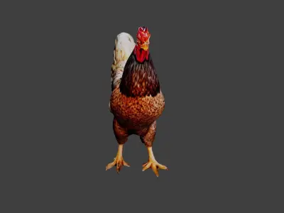 Chicken  Low-poly 3D model