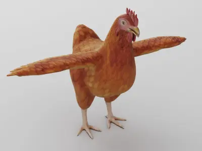 Chicken anatomy in T-pose for rigging 3D model