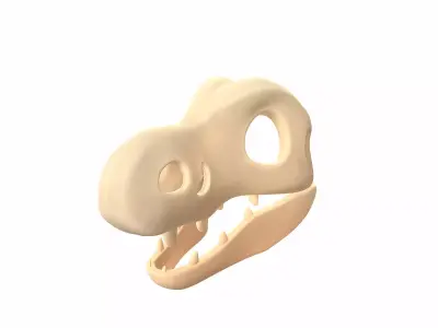 Dinosaur Skull 3D model