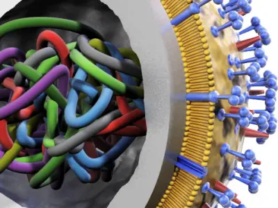 Influenza virus 3D model