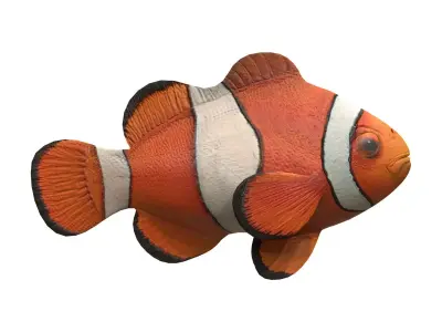 clown fish Low-poly 3D model