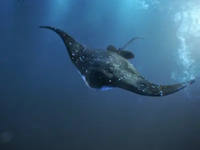 Realistic rigged Spotted Eagle Ray 3D model