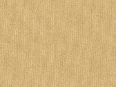 Leonardo da vinci flying mechanism 3D model