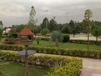 Bird Feeder 3D model