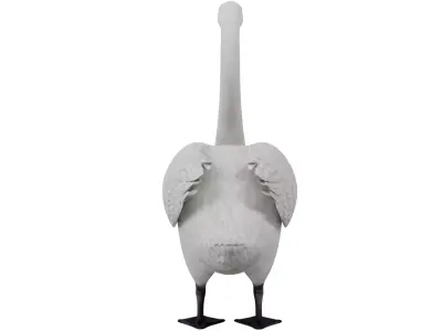 Swan Bird 3D model