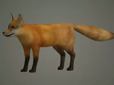 wildlife fox animal mammal fox animal nature wild  3D model