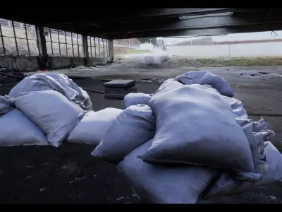 3D scanned trash Low-poly 3D model