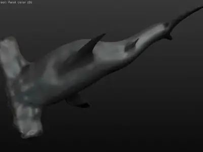 Hammerhead Shark Free 3D model