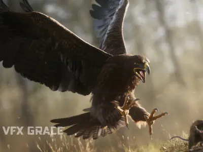Aquila Nipalensis Animated VFX Grace 3D model