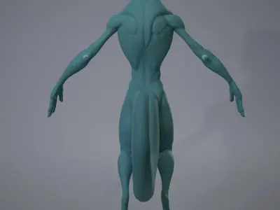 Lizard Base Mesh Low-poly 3D model