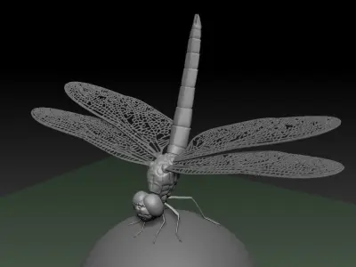 Dragonfly 3D print model