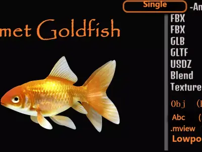 Comet Goldfish Low-poly 3D model