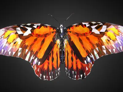 Batterfly Orange Low Polygon Art Insect Low-poly 3D model