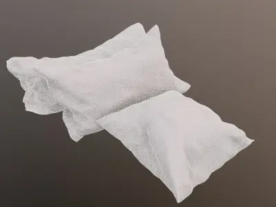Pillows Kit 3D model