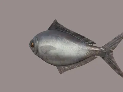 ButterFish fish Low-poly 3D model