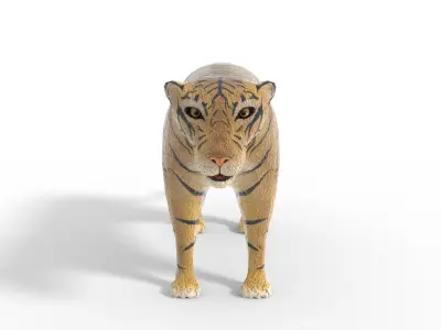 3D Tiger Model toy Low-poly 3D model
