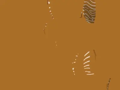 salmon sashimi 3D model