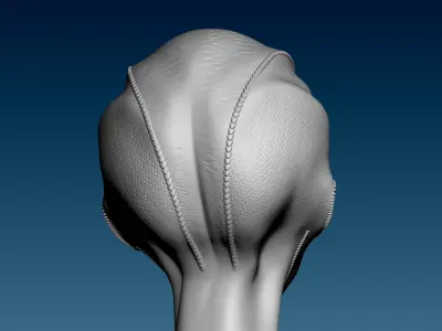 Alien Girl Head for 3D Print 3D print model