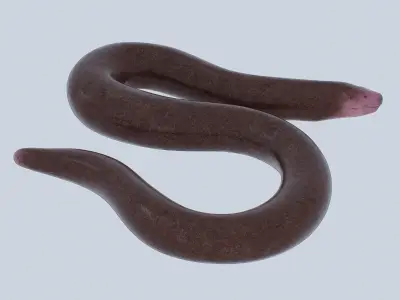 Blind snake Low-poly 3D model