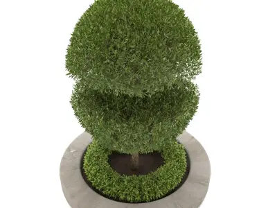Outdoor bush Free 3D model