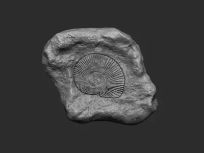 Ammonite Mineral Fossile - Realistic Printable and Keychain 3D print model