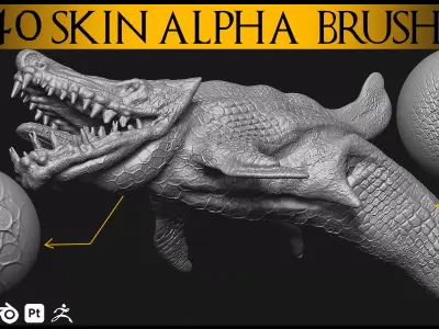 40 Skin Brush Brushes for Blender and Zbrush-Skin Brush-Alpha 3D model