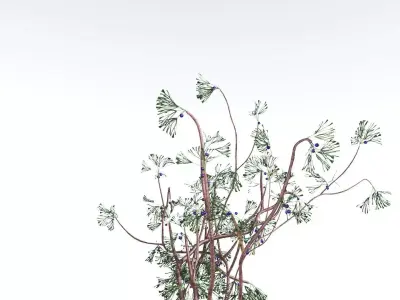 EVERYPlant Baiera LowPoly 3 --14 Models-- Low-poly 3D model