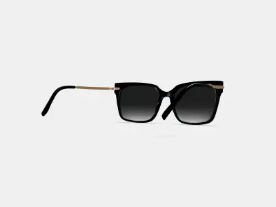 Vela Sunglasses in Jet Black with Polished Gold 3D model