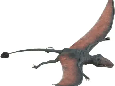 4K Eudimorphodon Low-poly 3D model