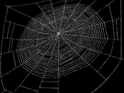 Spiderweb 1 3D model