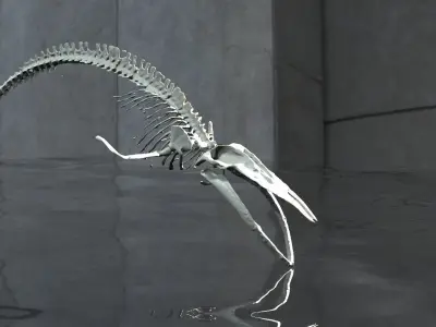 Dinosaur Bones 3D model