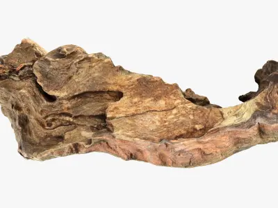 Tree Trunk Piece 12 3D model
