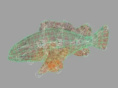 Skarpina - Scorpaena Scrofa Low-poly 3D model