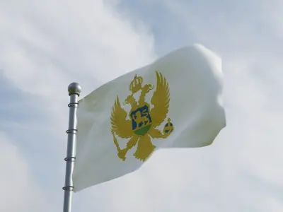 Animated Montenegro Flags 3D model